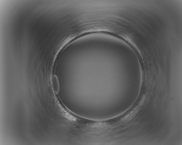 X0000057040797200509120819
