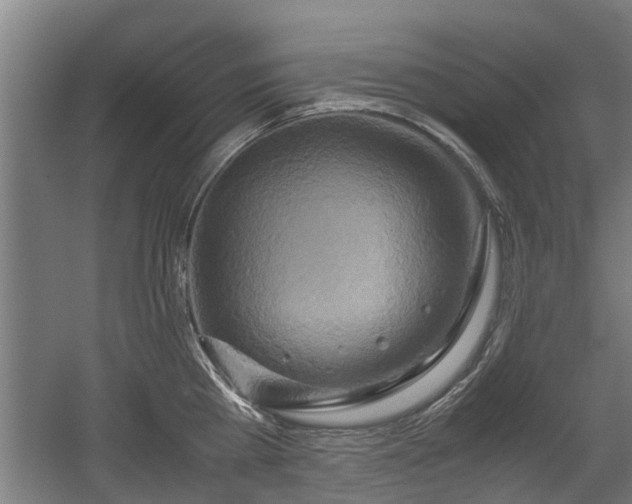 X0000057040809200509120818