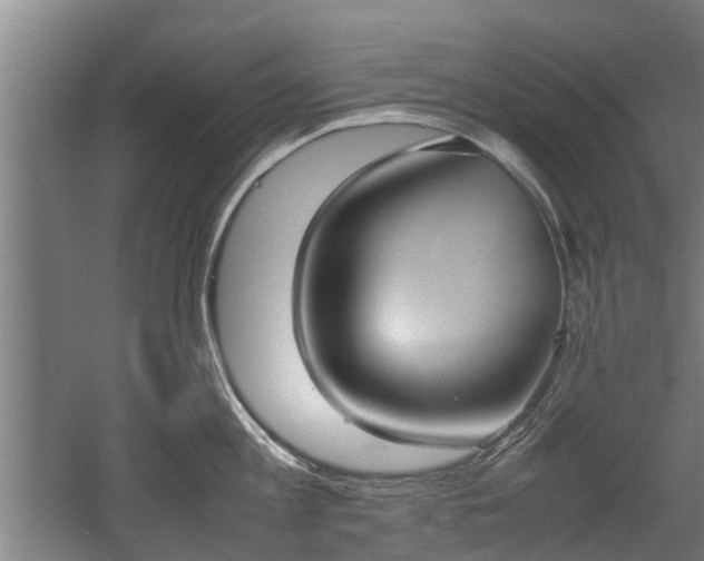 X0000057040813200509120818
