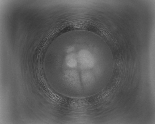 X0000057040817200509120817