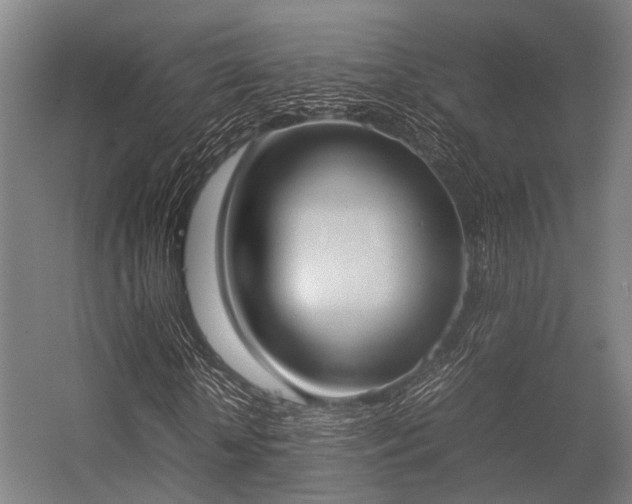 X0000057040818200509120818