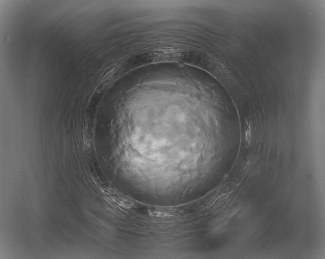X0000057040819200509120818