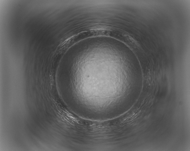 X0000057040821200509120818