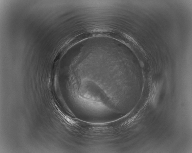 X0000057040825200509120818