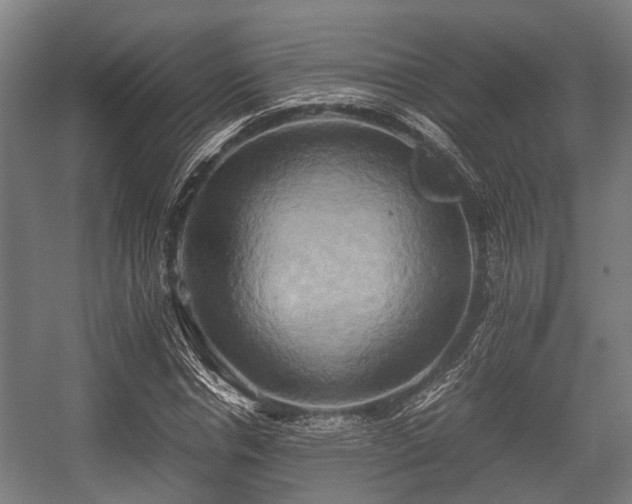 X0000057040826200509120818