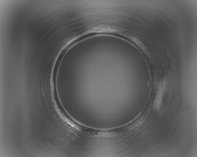 X0000057040840200509120818