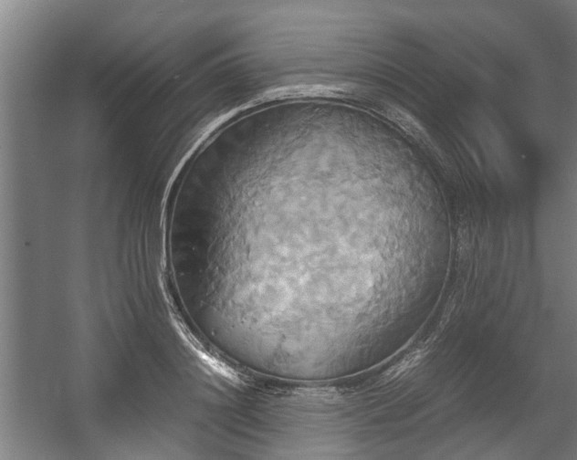 X0000057040844200509120818