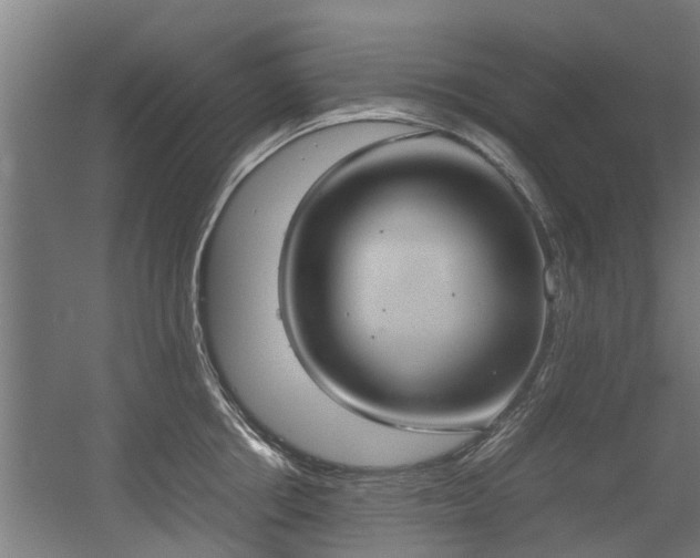 X0000057040858200509120818