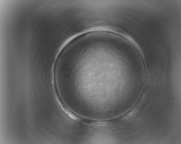 X0000057040862200509120818