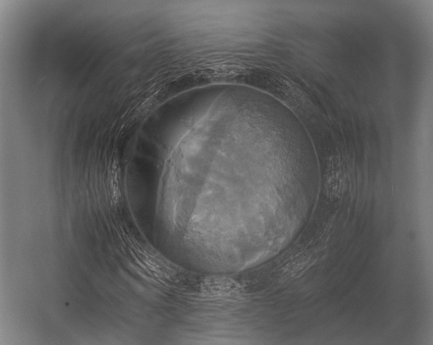 X0000057040866200509120817
