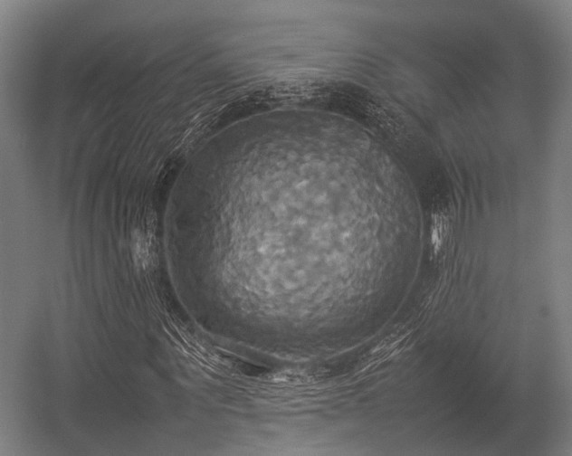 X0000057040867200509120817