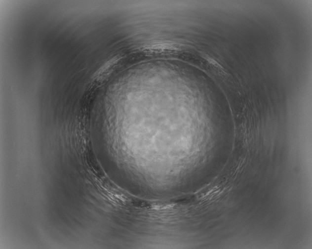 X0000057040870200509120817