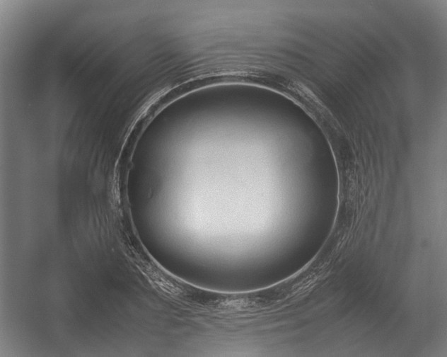 X0000057040883200509120817