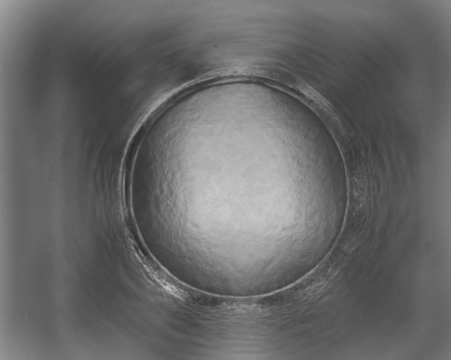 X0000057040886200509120817