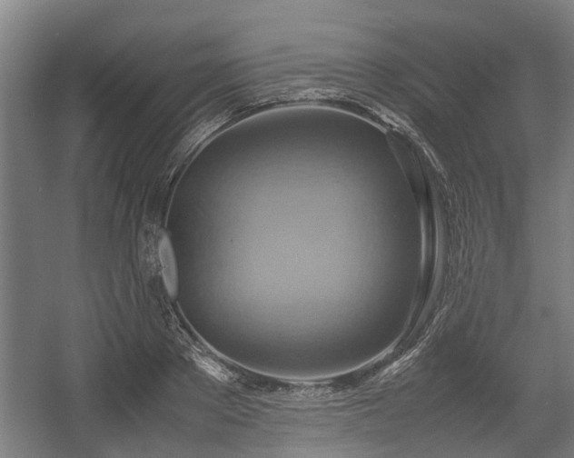 X0000057040889200509120817