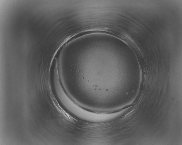 X0000057040892200509120817