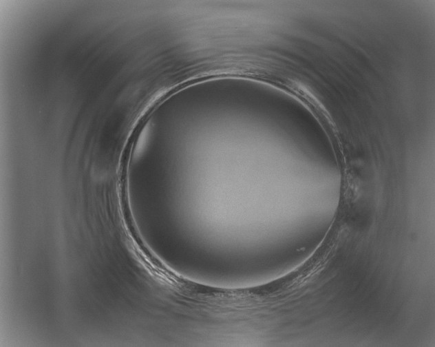 X0000057040899200509120817