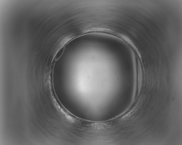X0000057040906200509120817