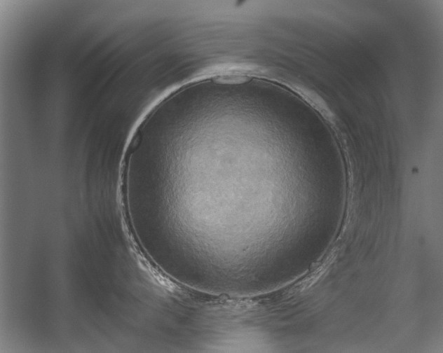 X0000057040912200509120817