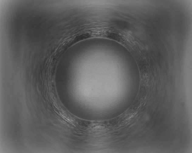 X0000057040913200509120816