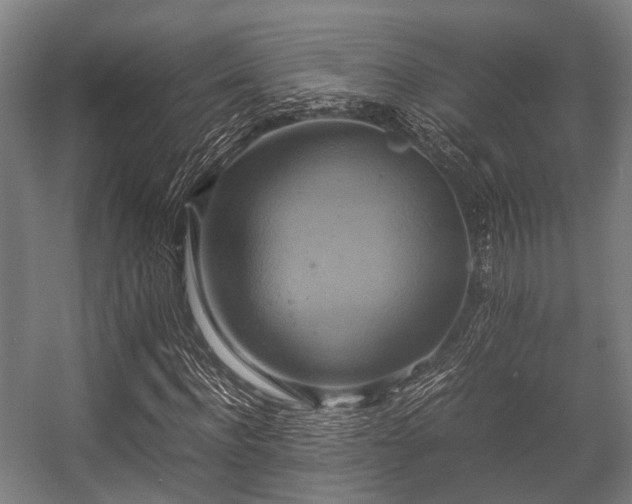 X0000057040916200509120816