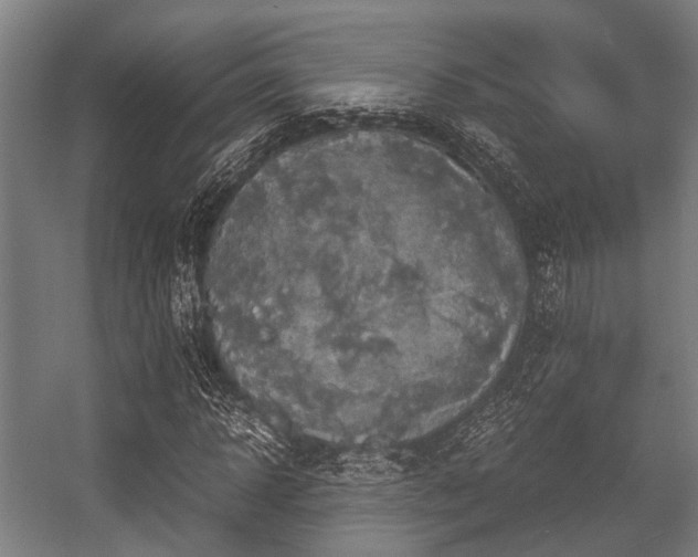X0000057040918200509120816