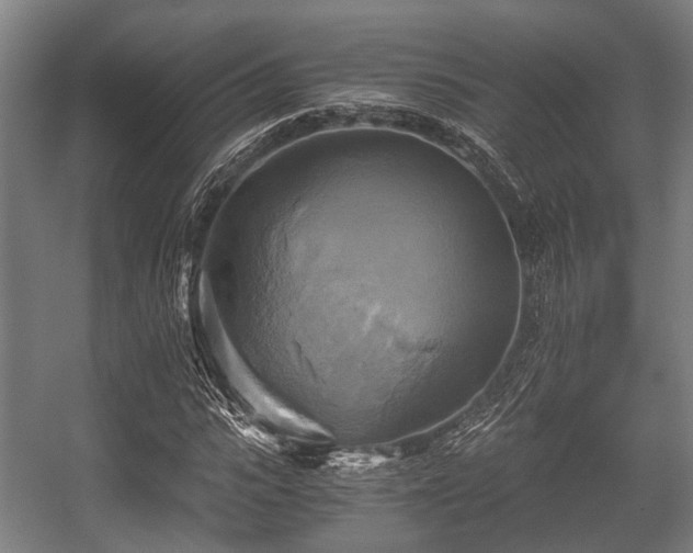 X0000057040919200509120816