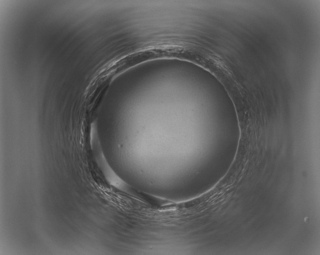 X0000057040920200509120816