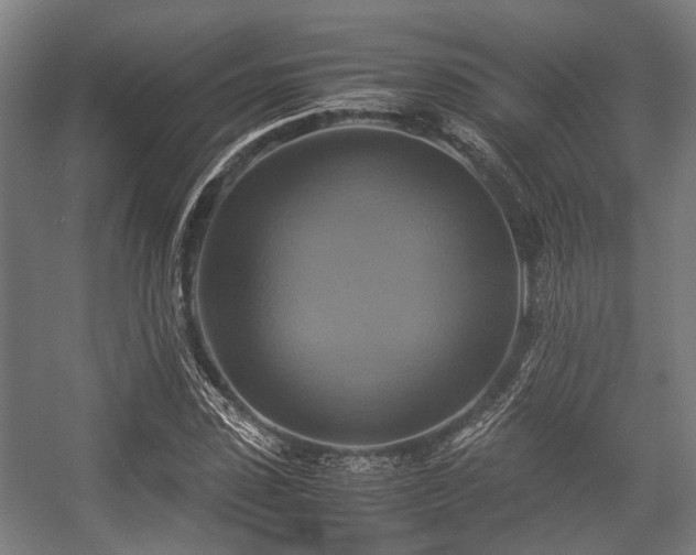 X0000057040923200509120816