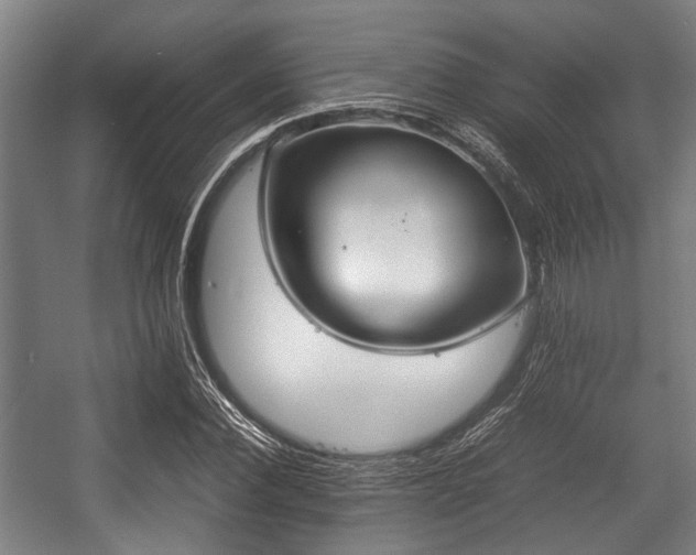 X0000057040924200509120816