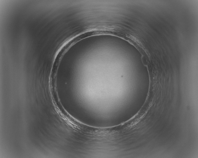 X0000057040928200509120816