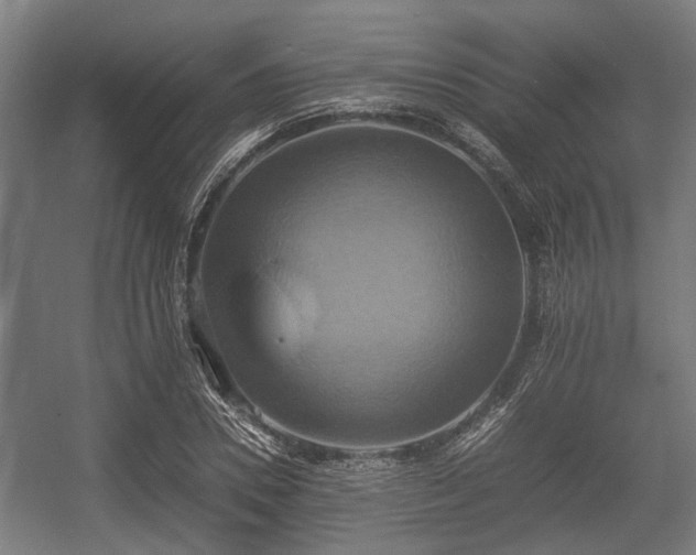 X0000057040930200509120816