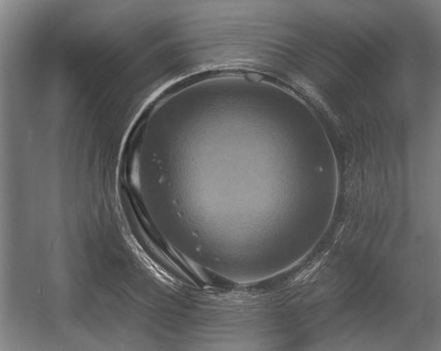 X0000057040932200509120816