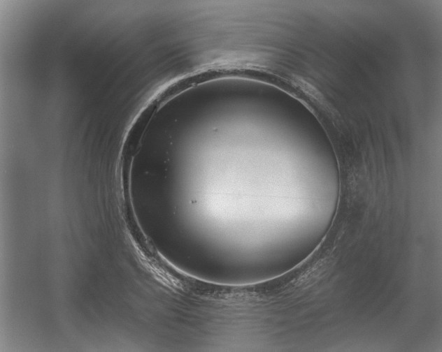 X0000057040934200509120816
