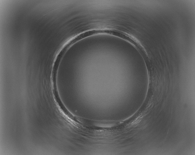 X0000057040935200509120816