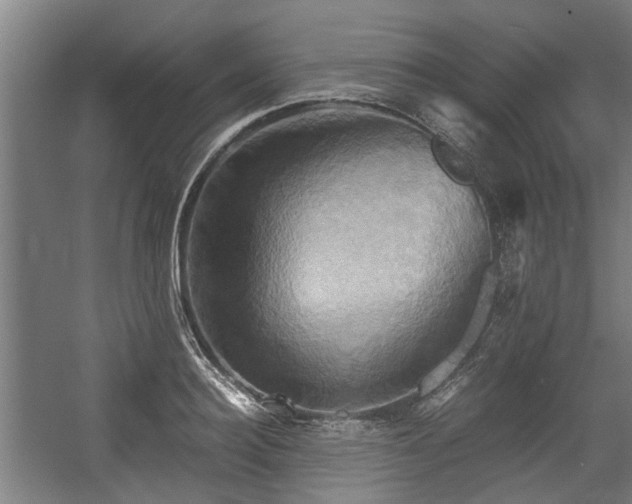 X0000057040940200509120816