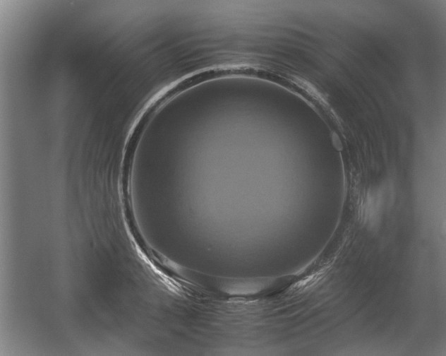 X0000057040943200509120816