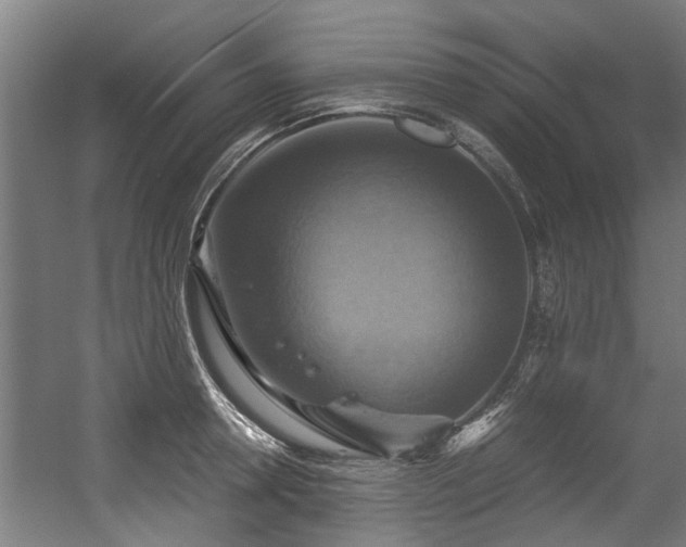 X0000057040946200509120816