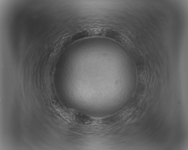 X0000057040961200509120816