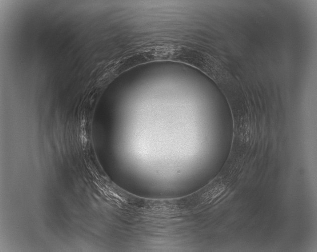 X0000057040962200509120816