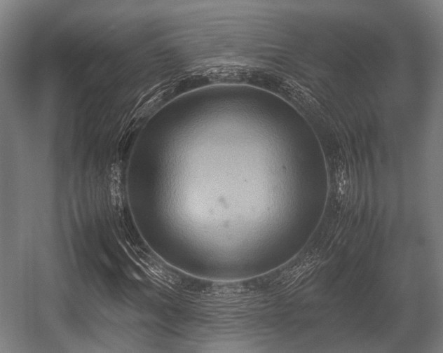 X0000057040964200509120816