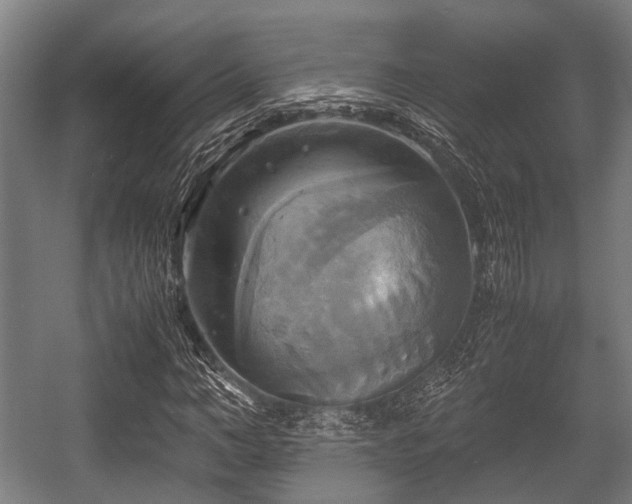 X0000057040966200509120816