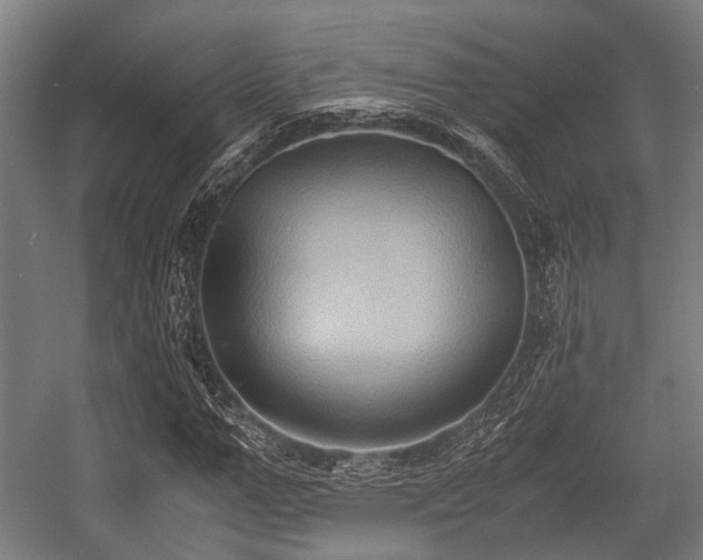 X0000057040967200509120816