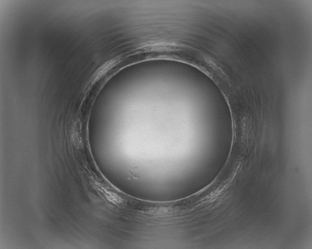 X0000057040970200509120816