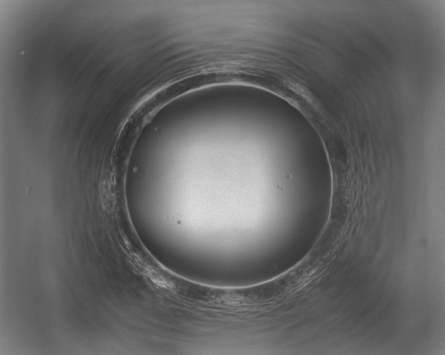 X0000057040971200509120816