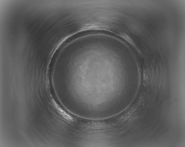 X0000057040972200509120816