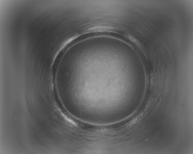 X0000057040973200509120816