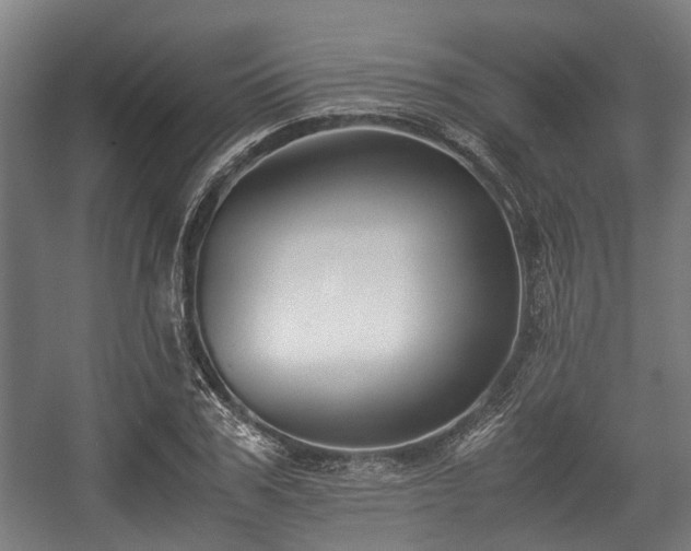 X0000057040979200509120816