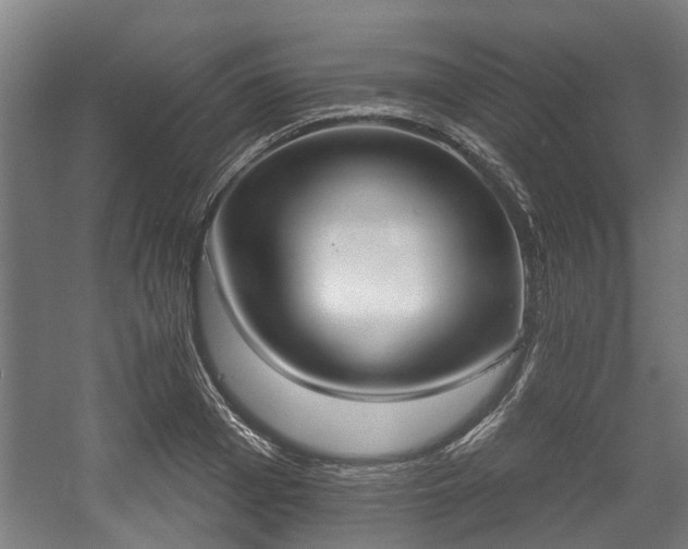 X0000057040985200509120815