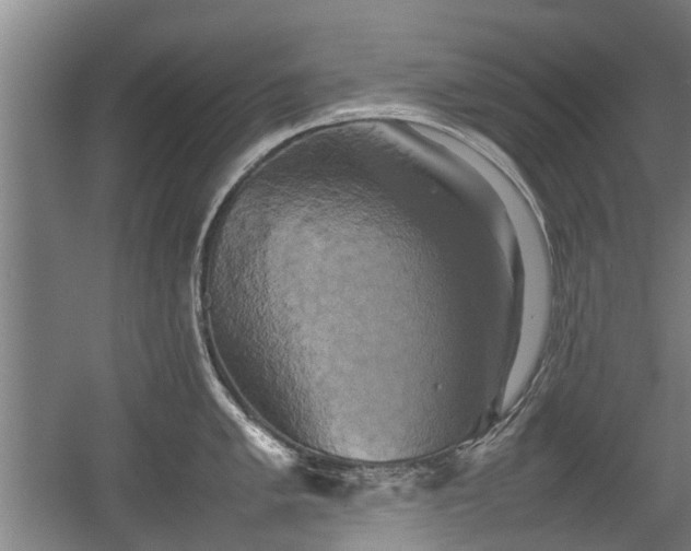 X0000057041005200509120815